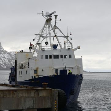 Vargøy på sjø ved havn med fjell i bakgrunnen