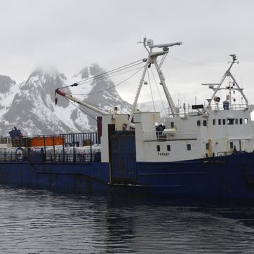 Vargøy på sjøen